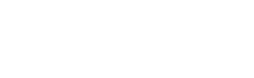 The Logoboy